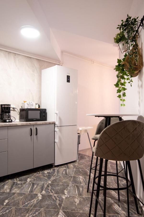 Snowdrop Apartment 锡纳亚 外观 照片